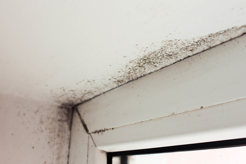 Un des risques encouru en ventilant mal son logement